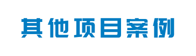 其他項目案例